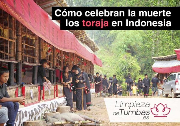 celebraciones muerte celebraciones muerte