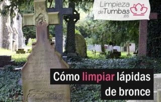 limpiar lapidas
