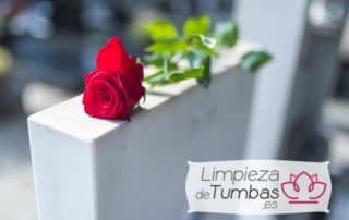 limpiar lapidas
