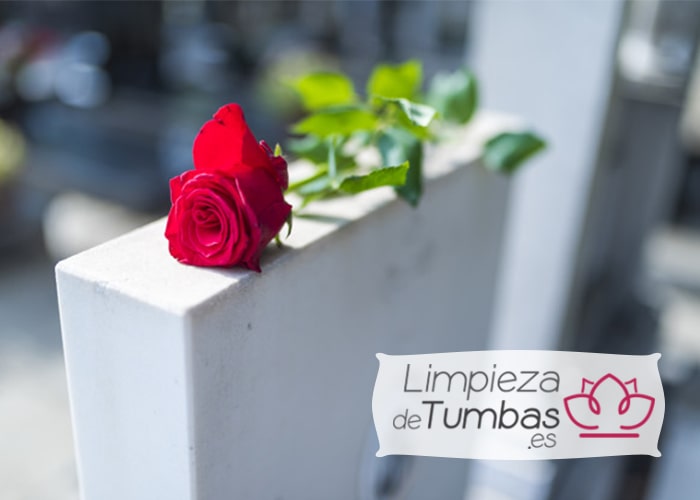 limpiar lapidas
