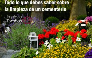 limpieza de cementerios