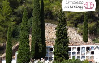 limpieza de nicho
