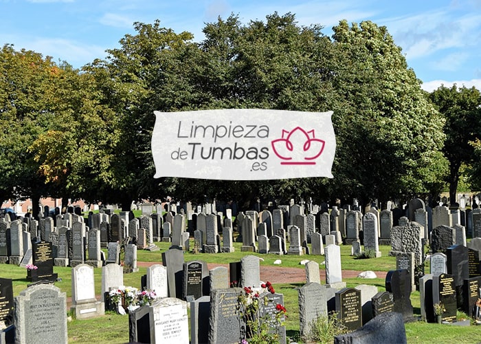 limpiezas lapidas y monumentos limpiezas lapidas y monumentos