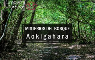 misterios bosque okigahara