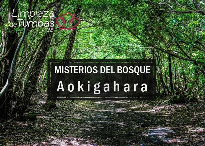 misterios bosque okigahara misterios bosque okigahara