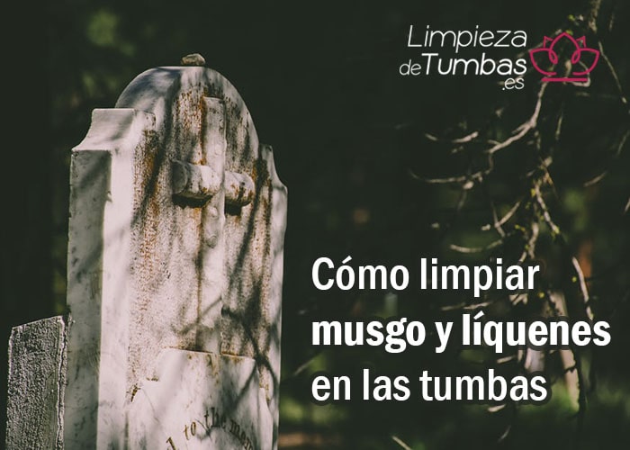 musgo liquenes en tumbas musgo liquenes en tumbas