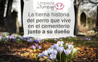 perro que vive en cementerio