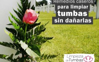 remedios-caseros-para-limpiar-tumbas