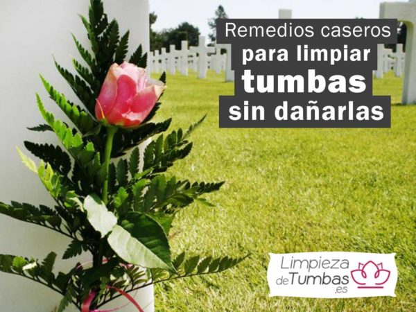 remedios-caseros-para-limpiar-tumbas remedios-caseros-para-limpiar-tumbas