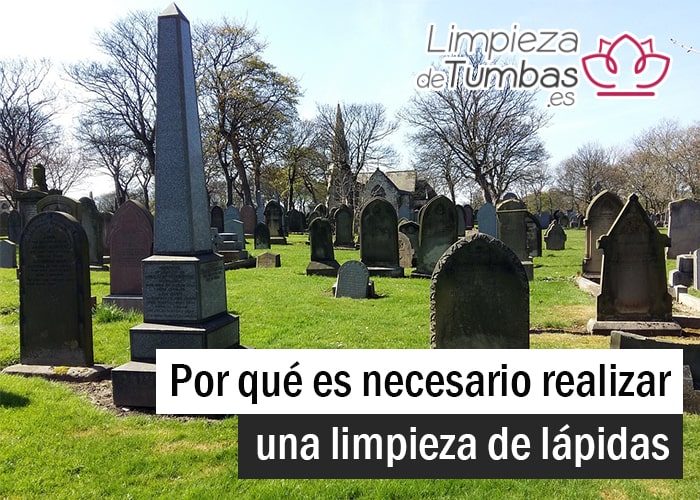servicio limpiezas de lapidas
