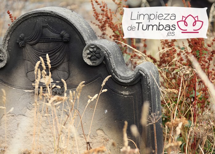 servicios limpieza lapidas
