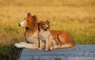 cementerios perros