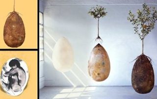 transformate en arbol a morir