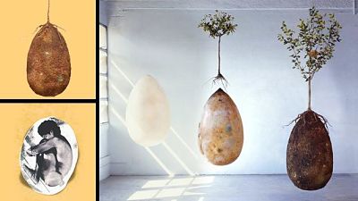 transformate en arbol a morir
