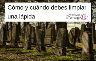como-y-cuando-debes-limpiar-una-la-pida_orig