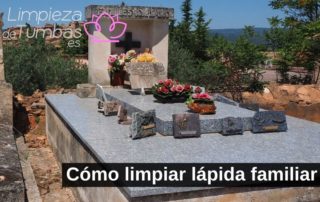 como limpiar lapida familiar