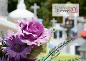 flores en las tumbas