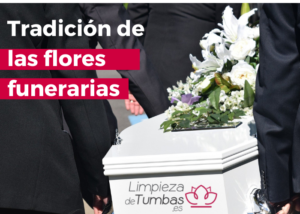  flores funerarias