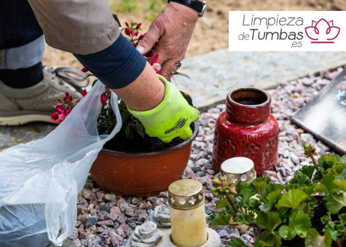 contratar limpieza tumbas