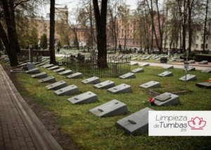 Cómo preservar y resaltar detalles durante la limpieza limpieza y mantenimiento de una sepultura